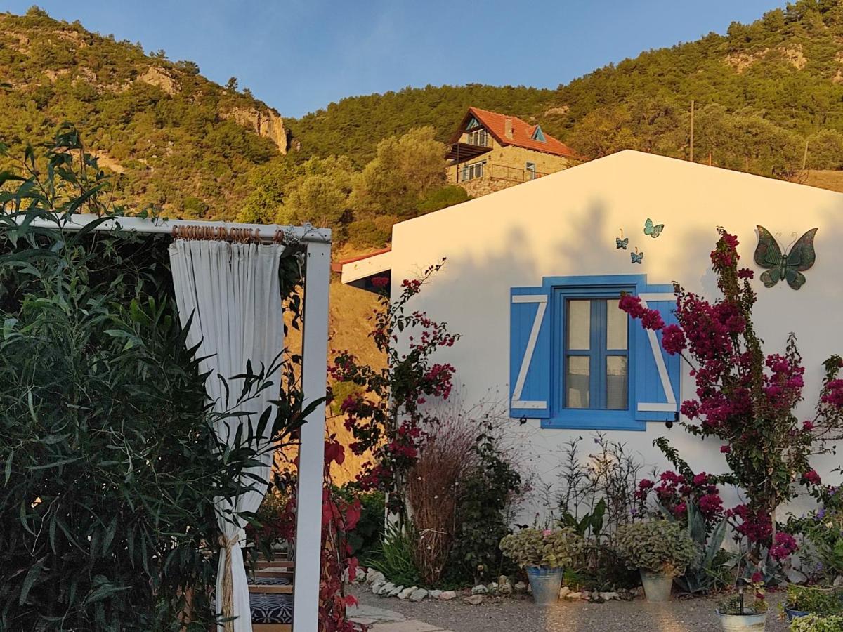 Mavi Kelebek Datca Εξωτερικό φωτογραφία