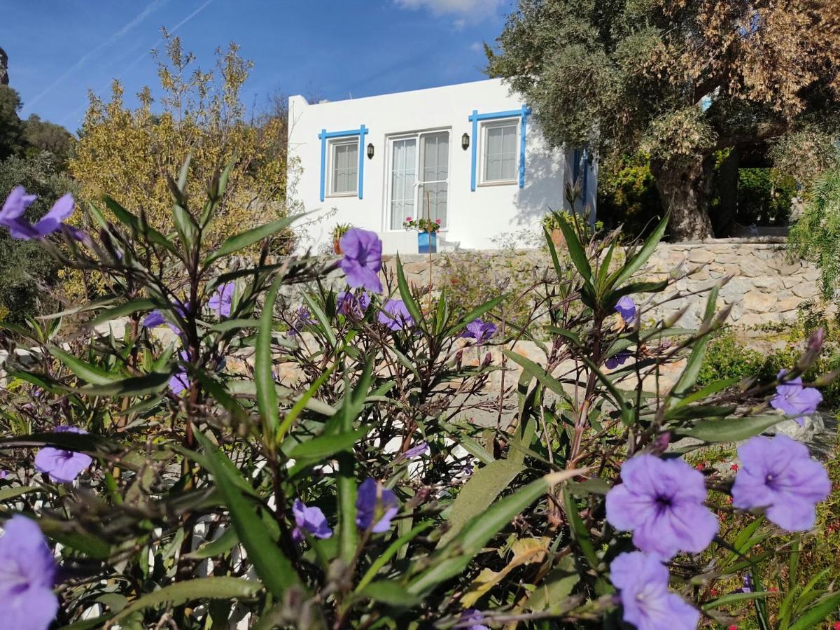Mavi Kelebek Datca Εξωτερικό φωτογραφία