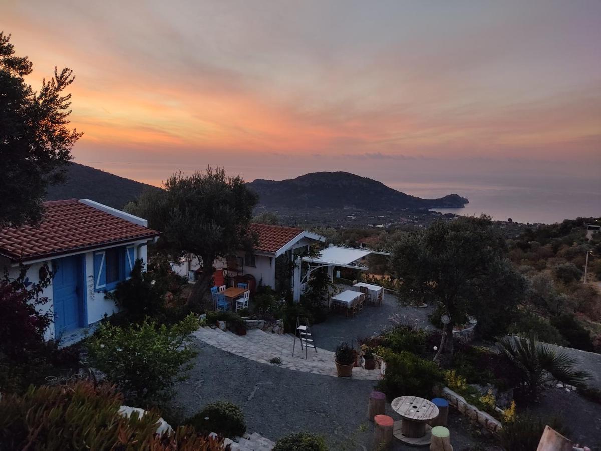 Mavi Kelebek Datca Εξωτερικό φωτογραφία