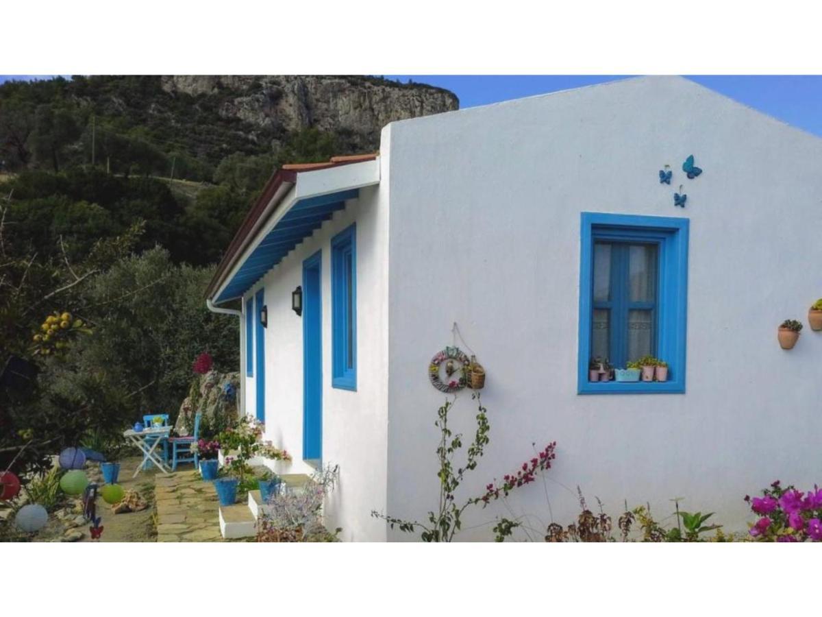 Mavi Kelebek Datca Ξενοδοχείο Εξωτερικό φωτογραφία