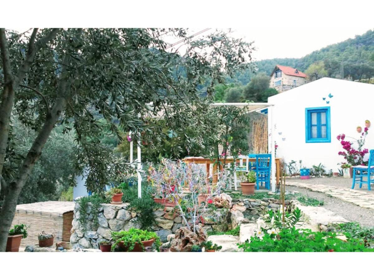Mavi Kelebek Datca Ξενοδοχείο Εξωτερικό φωτογραφία