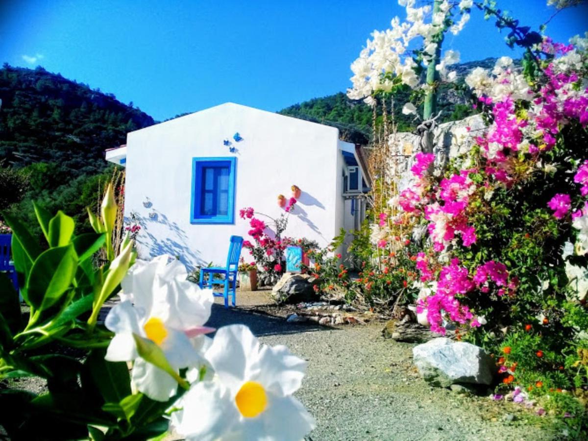 Mavi Kelebek Datca Ξενοδοχείο Εξωτερικό φωτογραφία