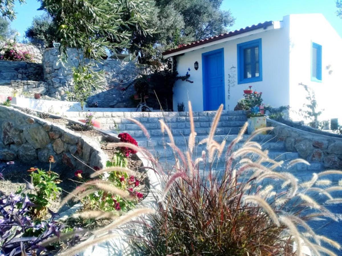 Mavi Kelebek Datca Ξενοδοχείο Εξωτερικό φωτογραφία
