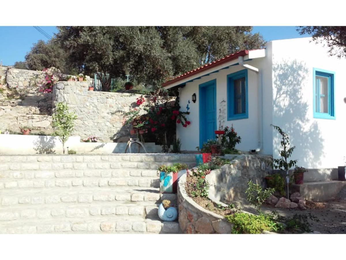 Mavi Kelebek Datca Εξωτερικό φωτογραφία