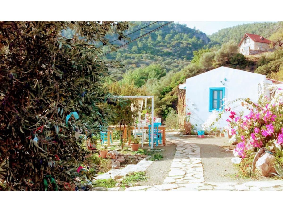 Mavi Kelebek Datca Εξωτερικό φωτογραφία