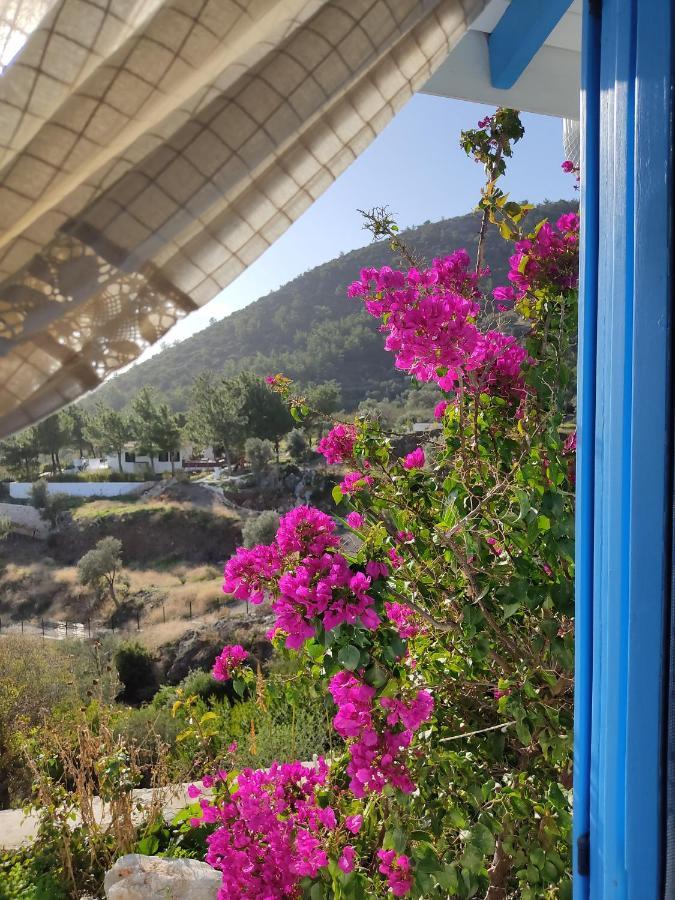 Mavi Kelebek Datca Ξενοδοχείο Εξωτερικό φωτογραφία